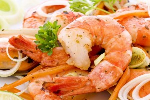 Gladstone Seafood Festival