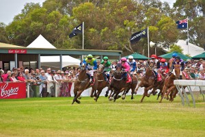 Kangaroo-Island-Cup