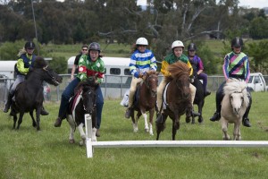 Mansfield-Agricultural-Show