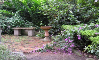 coucals garden