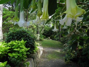 Open-Garden