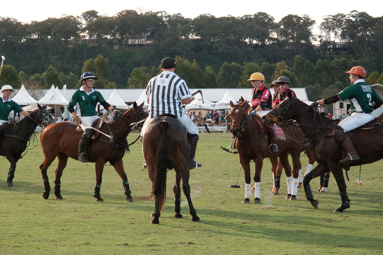 Polo-Social-24