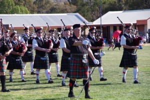 Scottish-Fair