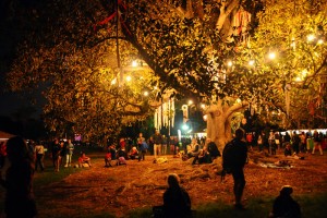 Womadelaide