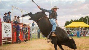 Blackall Heartland Festival