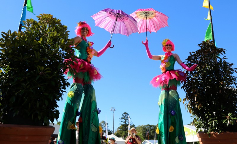 Qld Garden Festival