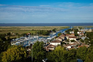 Dutch family's sea change