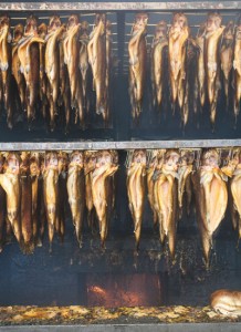 Salmon Farm