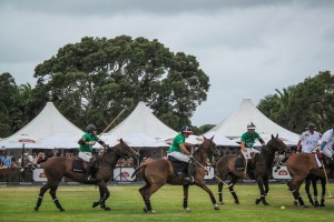 WATERFORD CRYSTAL POLO IN THE CITY