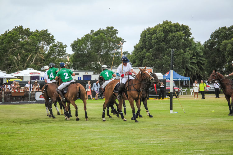 WATERFORD CRYSTAL POLO IN THE CITY