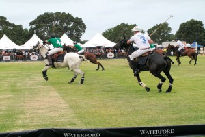 WATERFORD CRYSTAL POLO IN THE CITY