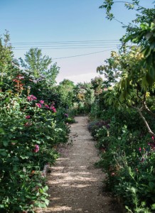Garden Artistry
