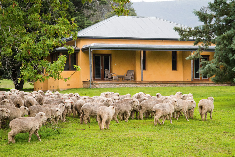 Grazing History