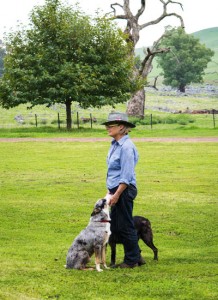 Grazing History