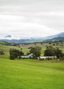 Grazing History