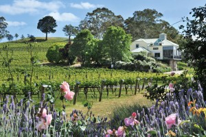 Hahndorf Hill-
