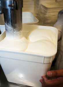 Harry's Ice Cream
