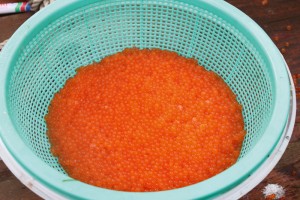 Salmon Farm