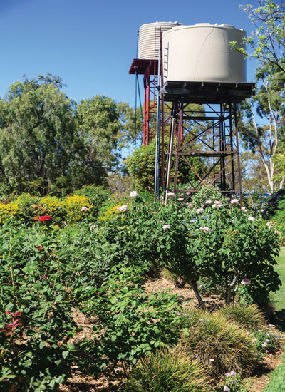 Outback garden