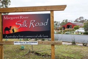 Silk Farm