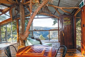Tree House