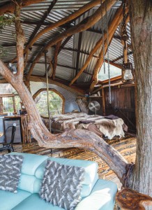 Tree House