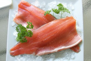 Salmon Farm