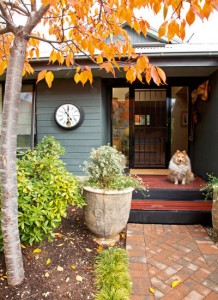 High Country Hideaway