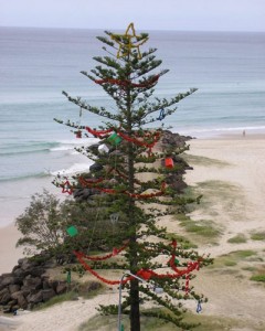 An-Australian-Christmas-tre