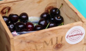 Cherry Festival