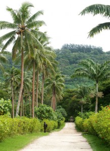 Tropical Vanuatu Garden