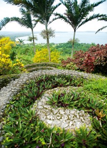 Tropical Vanuatu Garden