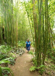 Tropical Vanuatu Garden