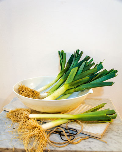 Leek