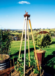 Mica Grange Open Garden Sculpture Exhibition