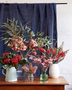 Native-Australian-flowers-m