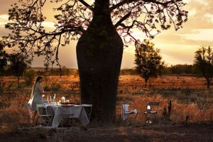 Sunset-xmas