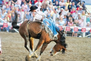 rodeo