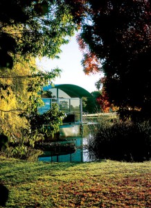Balnaves-of-Coonawarra-Cell