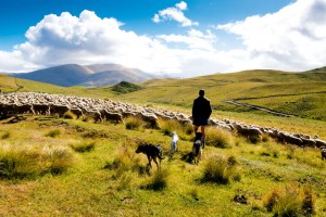 Central Otago