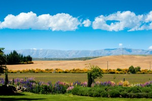 Central Otago