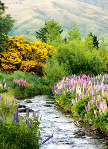 Central Otago