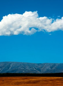 Central Otago