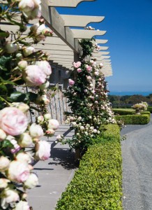 Equestrian's home