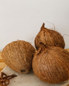 COCONUT RECIPES
