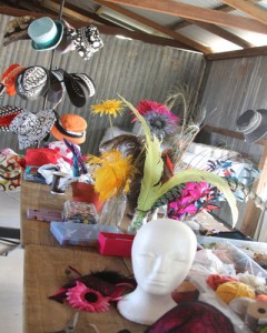 Weather or not: KOOROORINYA LADIES WEEKEND- Australian Country