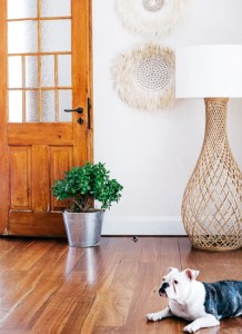 Bohemian home