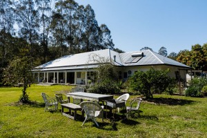 FOOD PRODUCTION MEETS URBAN DWELLING