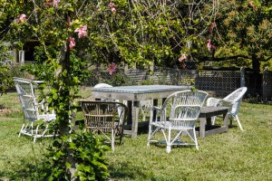 FOOD PRODUCTION MEETS URBAN DWELLING