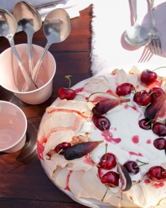 SHANNON GARSONS CAKE RECIPES